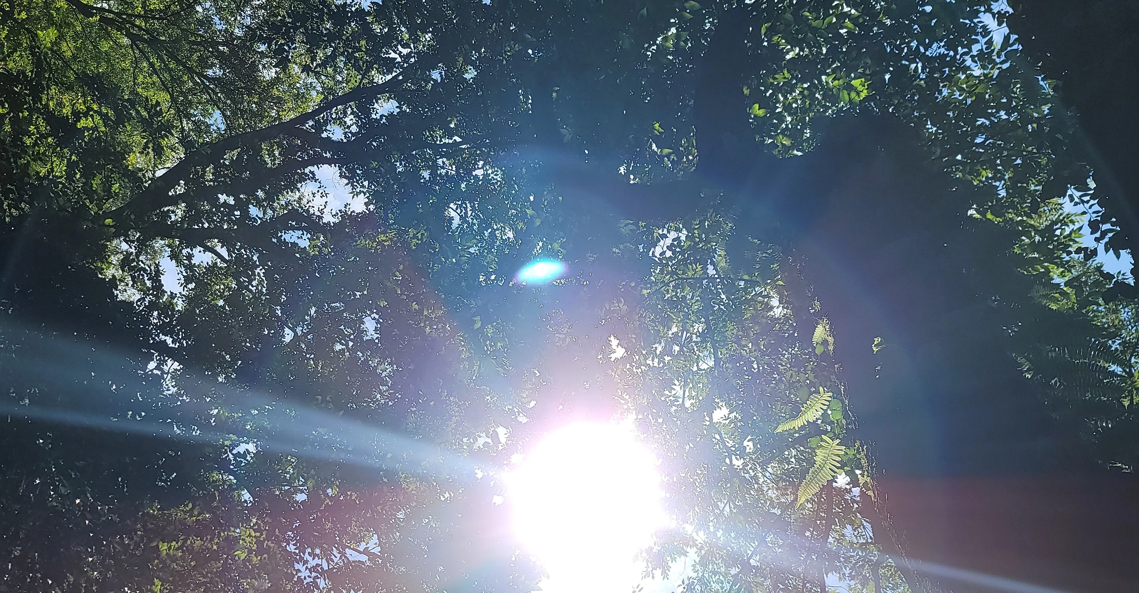 白水道01